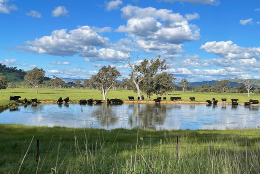 Southern ranges farm