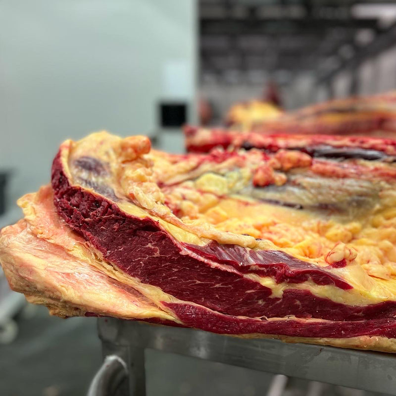 42-day Dry Aged Retired Dairy Cow - Porterhouse On The Bone 400g